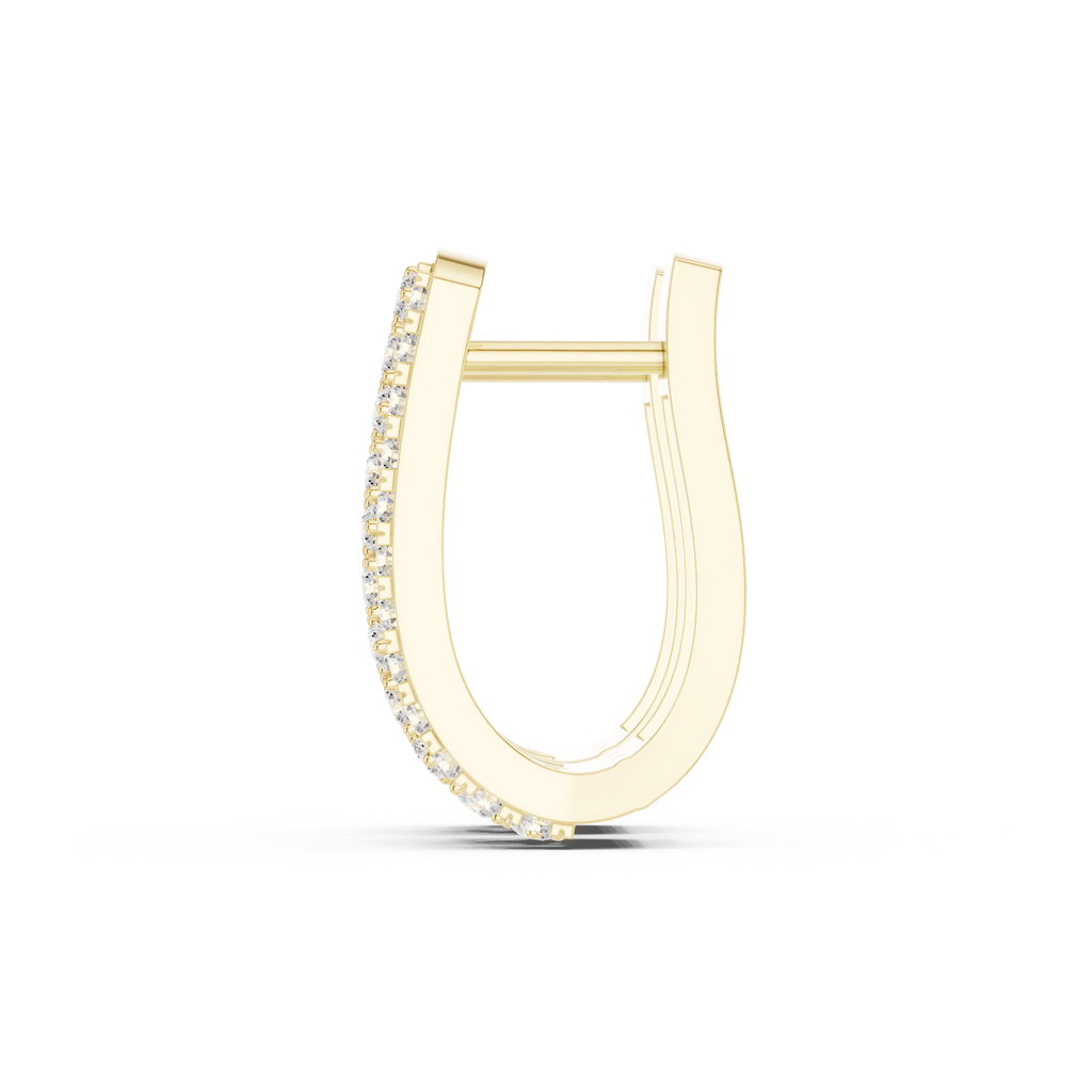 Round Diamond Wide Double Row Hoop Earrings